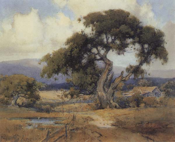 California landscape